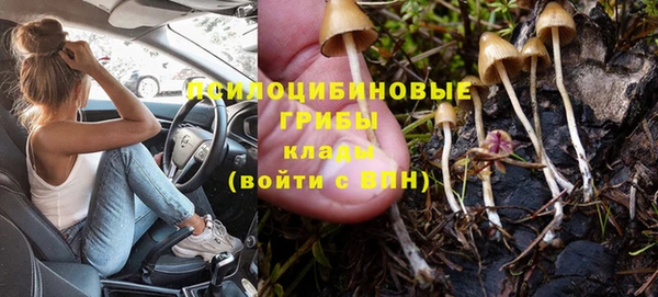 не бодяженный Медвежьегорск