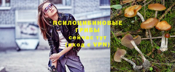 ПСИЛОЦИБИНОВЫЕ ГРИБЫ Мегион