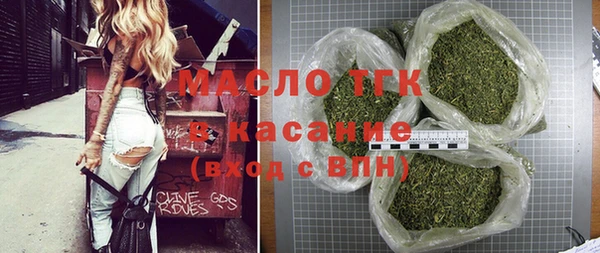 спиды Богородицк