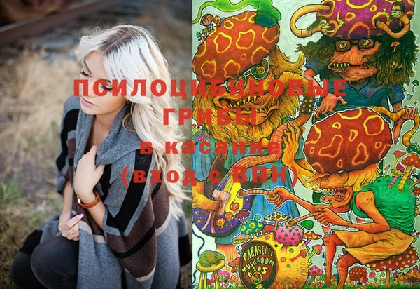 ПСИЛОЦИБИНОВЫЕ ГРИБЫ Мегион