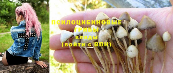 тгк Магадан
